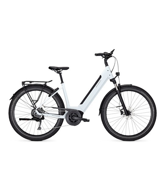 E-Citybike Endeavour 3.B Move WA 625Wh