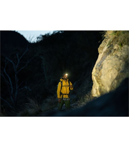 Stirnlampe Bandicoot 250