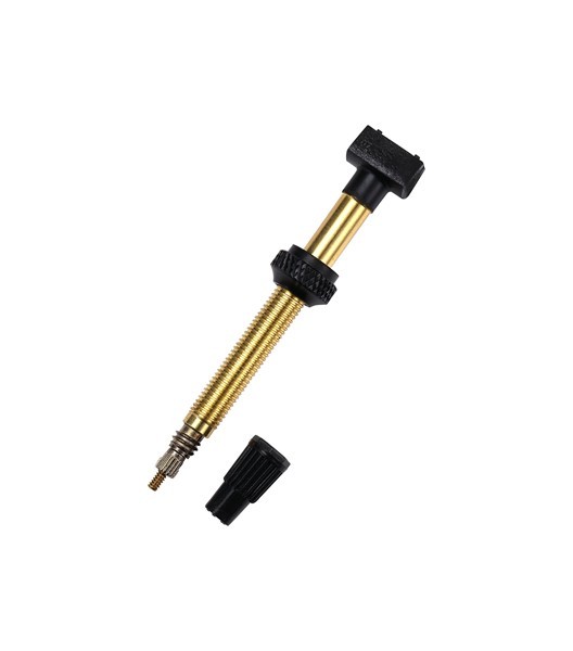 Tubeless Ventil abnehmbar 60 mm 2 Stück