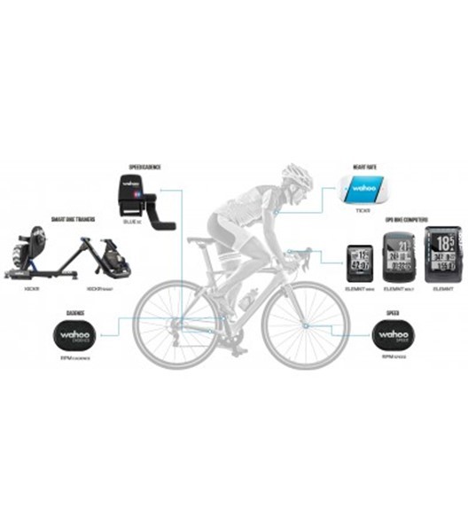 TICKR Fit Optical Herzfrequenz-Armband