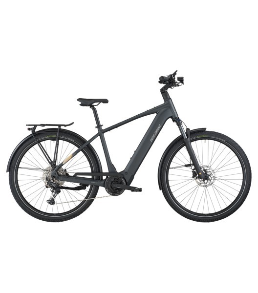 eBike E-Horizon Sport 20