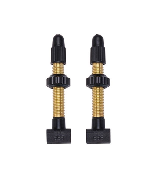 Tubeless Ventil abnehmbar 48 mm 2 Stück