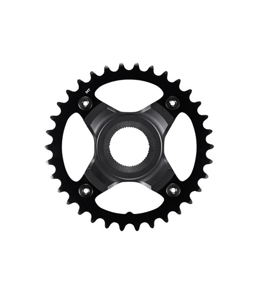 ALL-M71-521