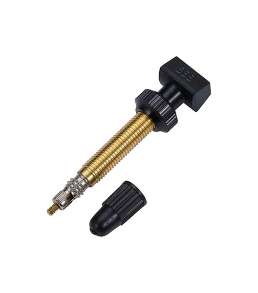 Tubeless Ventil abnehmbar 48 mm 2 Stück