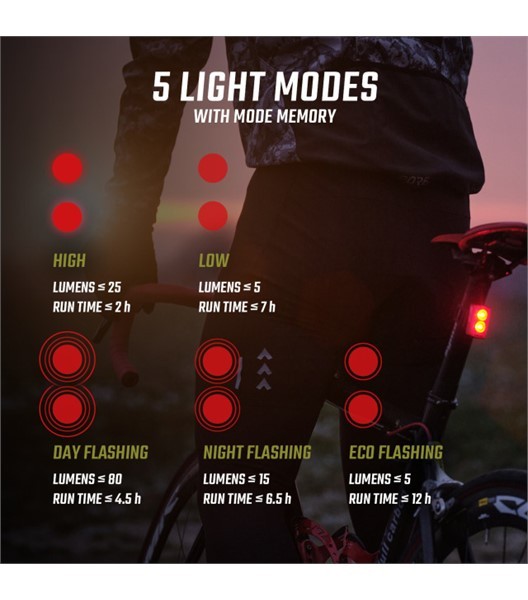 Lichtset Buster 400 FL & Buster RL 80