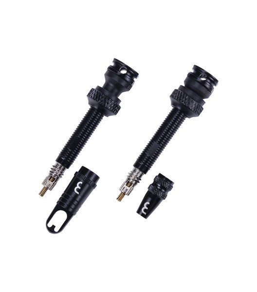 Tubless Ventil Alu, 40mm, removable, 2 Stück