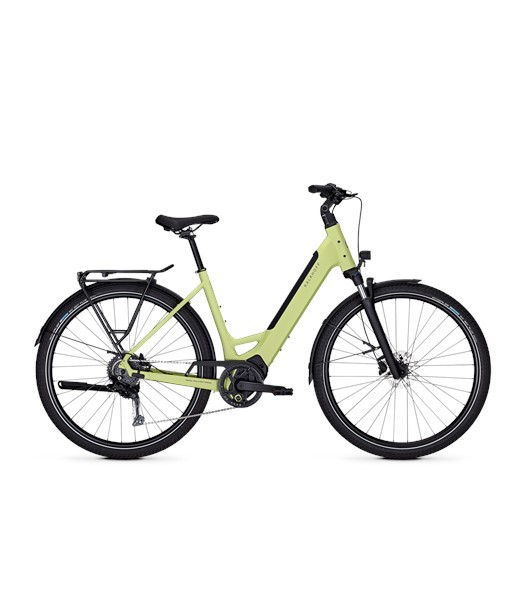 E-Citybike Endeavour L Season 29" WA 400Wh