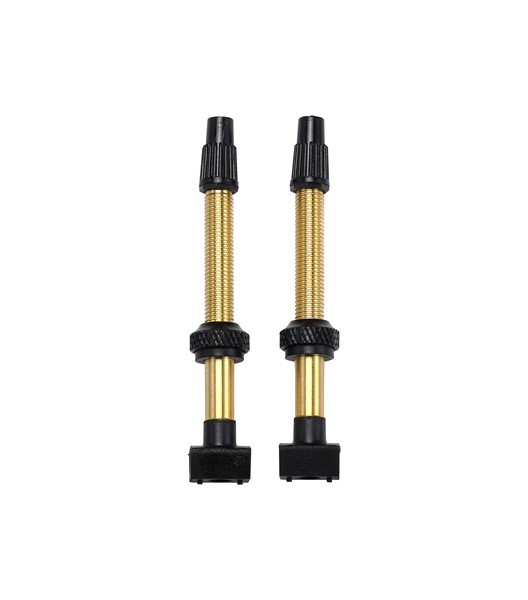 Tubeless Ventil abnehmbar 60 mm 2 Stück